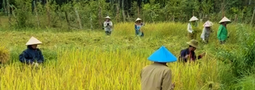 Warum Laos Warum Laos